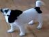 Wunderschne Jack Russell Welpen zu habe