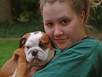 Englischen Bulldoggen (Weibchen/ Rden)